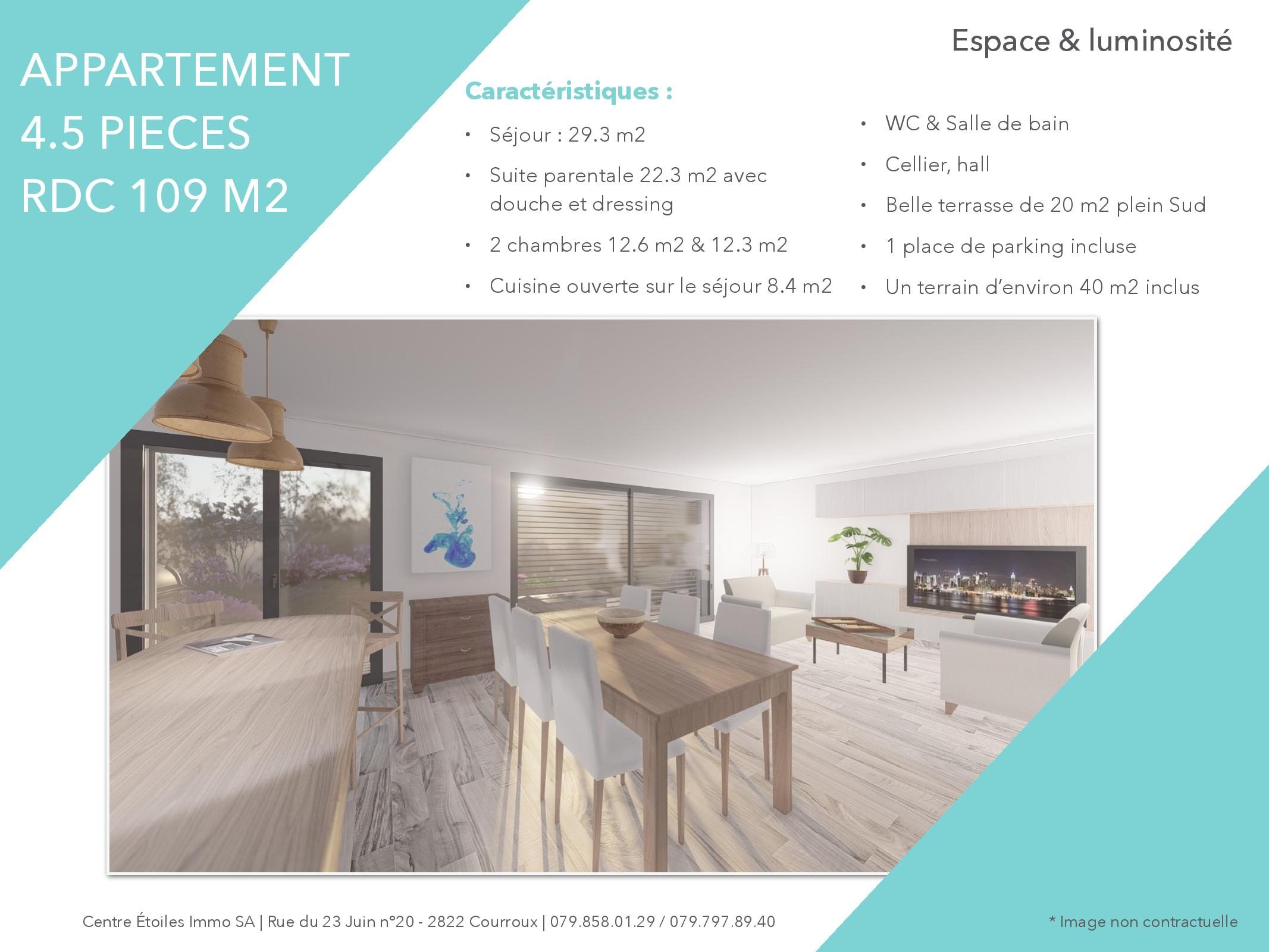 Appartement Boecourt 4.5P RDC-page-005